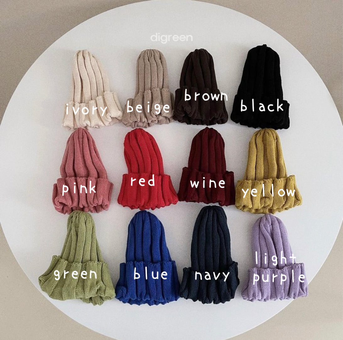 digeen-color beanie☆即納☆---dg004