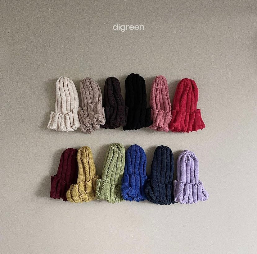 digeen-color beanie☆即納☆---dg004